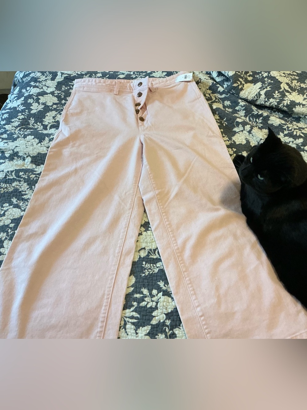 GAP Light Pink High-Rise Wide Leg Button-Fly Pants